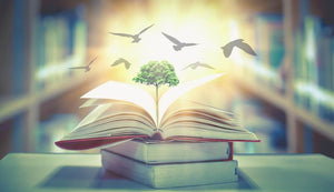 how to be a poetry writer - Rafa selase online website image of book with pages open and tree of life in the center with birds flying above. 